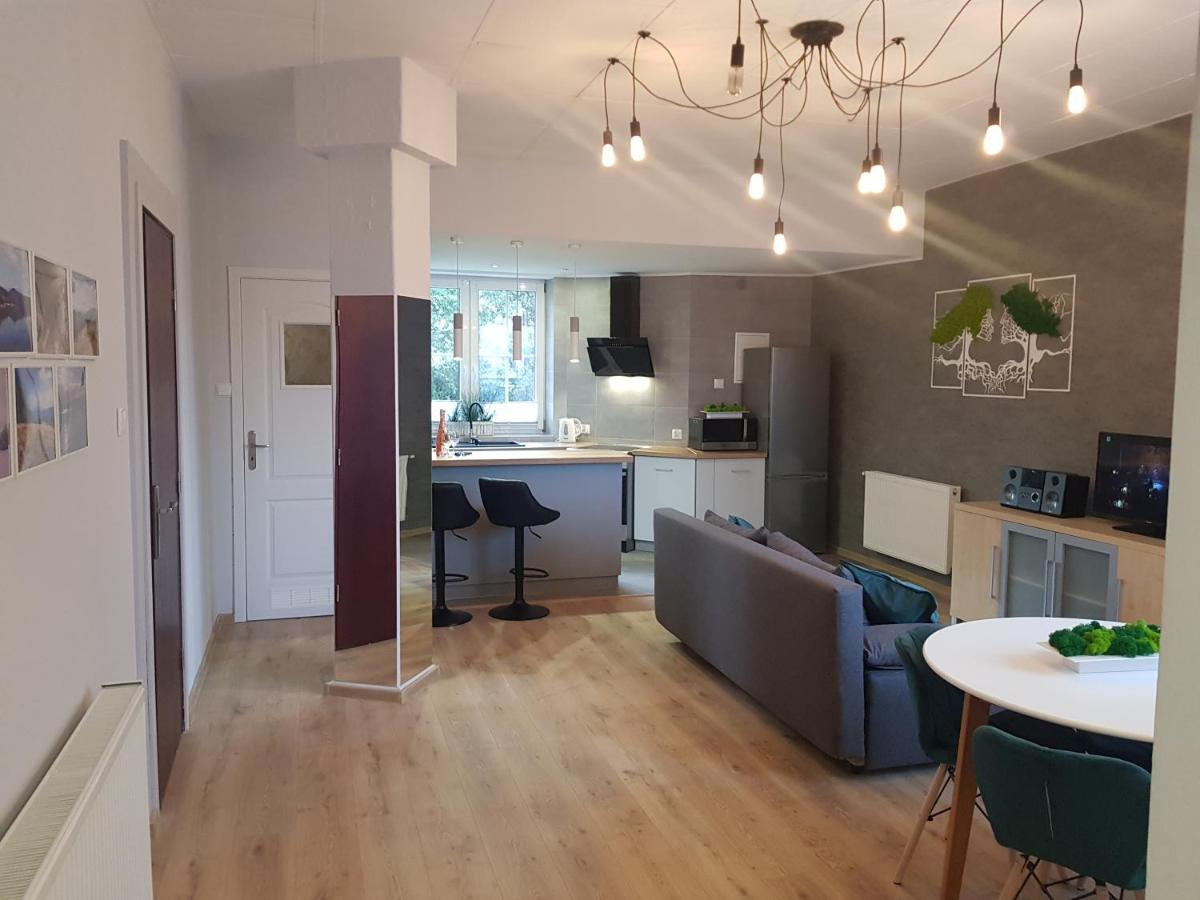 Apartamenty Paszkowka Pietrzykowice  Екстер'єр фото