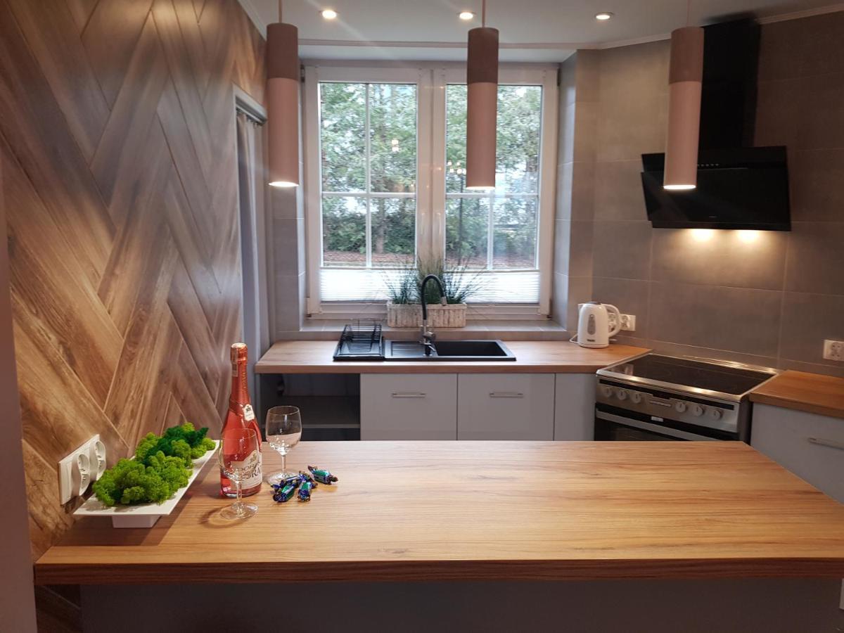 Apartamenty Paszkowka Pietrzykowice  Екстер'єр фото